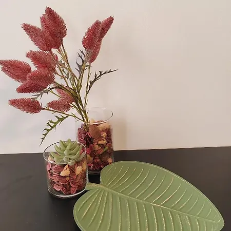 Appartement Town Square Zadar